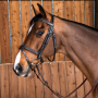 DY'ON - “Classic” flash noseband bridle