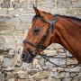 DY'ON - Difference flash noseband bridle