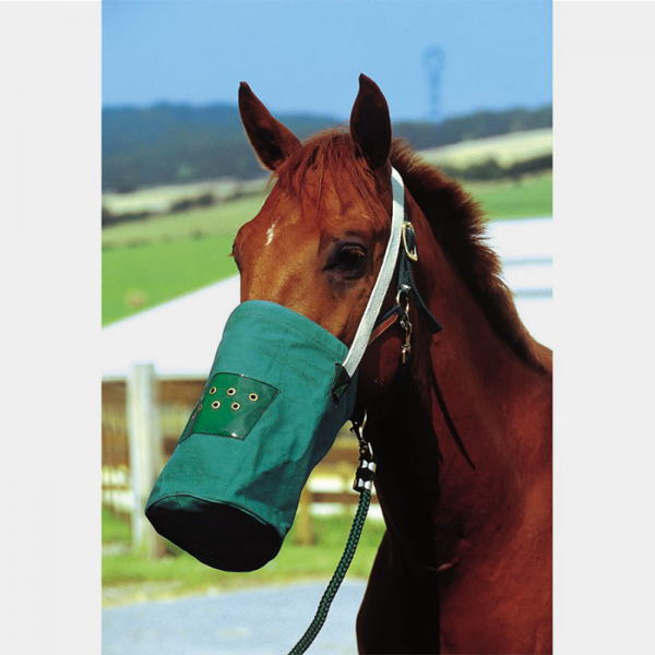 HIPPOTONIC - Musette canvas