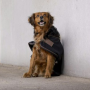 DIEGO ET LOUNA - Couverture pour chien nylon Teddy