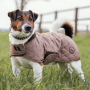 BACK ON TRACK - Haze Collection dog coat