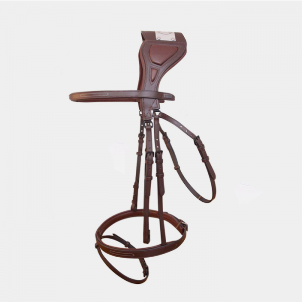 T of T - Chagall Bridle Bridle