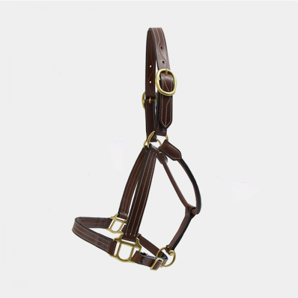 T of T - Trippled Stiched Leather Halter Nylon Reinforcement