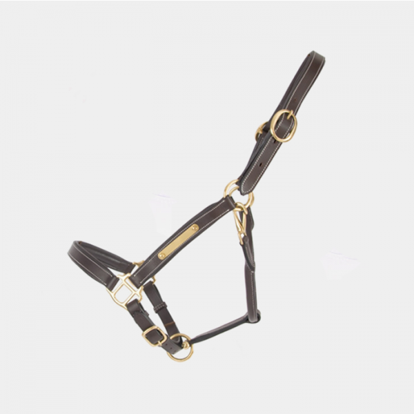 T of T - Leather Halter With Plate