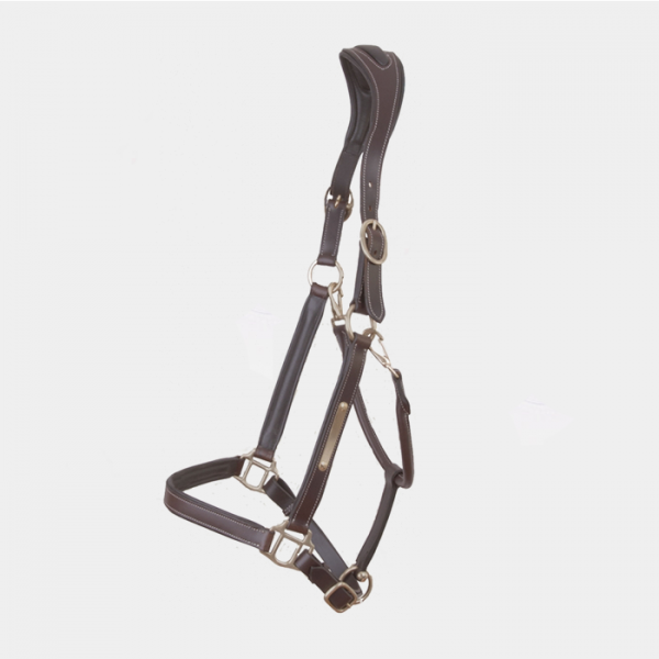 T of T - Leather Halter With Anatomical Tetiere Plate