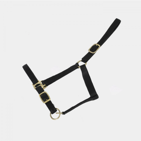Tde T - Leather Lined Halter