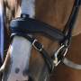 ANTARES - Precision large crank noseband anatomic bridle