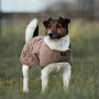 BACK ON TRACK - Manteau pour chien Haze Collection