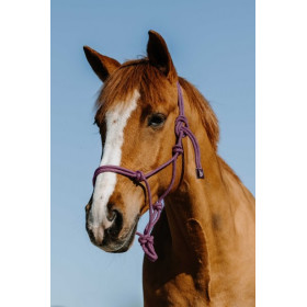 Licol De Bétail En Corde Poly Tressée – Bride Sans Mors Pour Vache, Chèvre, Mouton, Lama, Nylon Résistant, Blanc, Avec Boucle De Fer