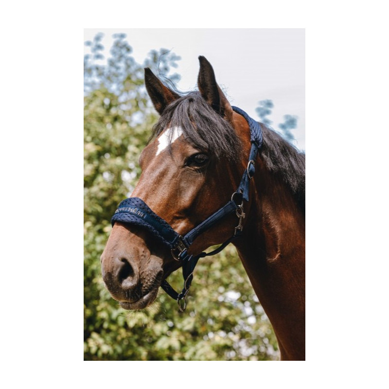 Licol En Nylon Rembourré Fausse Fourrure – Avec Longe Assortie – Vert Menthe – Tailles Pony à Cob – Réglable