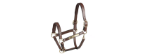 Halters and Leadropes