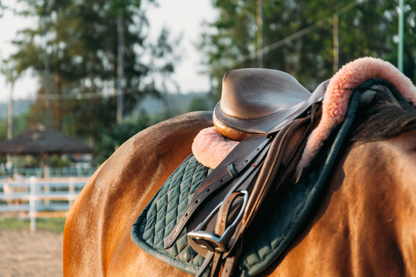 Guide d'achat : Comment choisir le tapis de selle idéal pour votre cheval ?