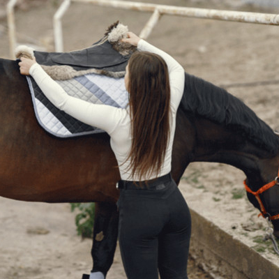 Comment ajuster correctement un tapis de selle pour un confort optimal du cheval